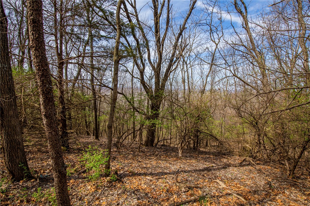 Fayetteville Outlots - Land