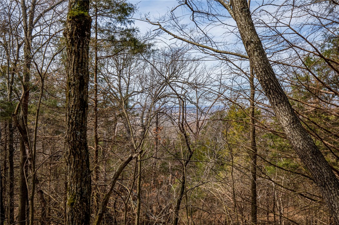 Fayetteville Outlots - Land