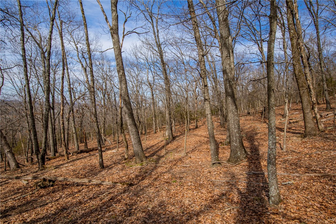 Fayetteville Outlots - Land