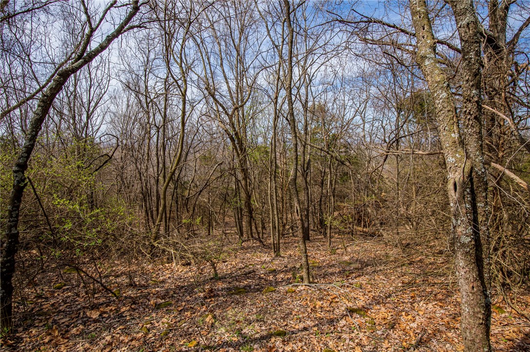 Fayetteville Outlots - Land
