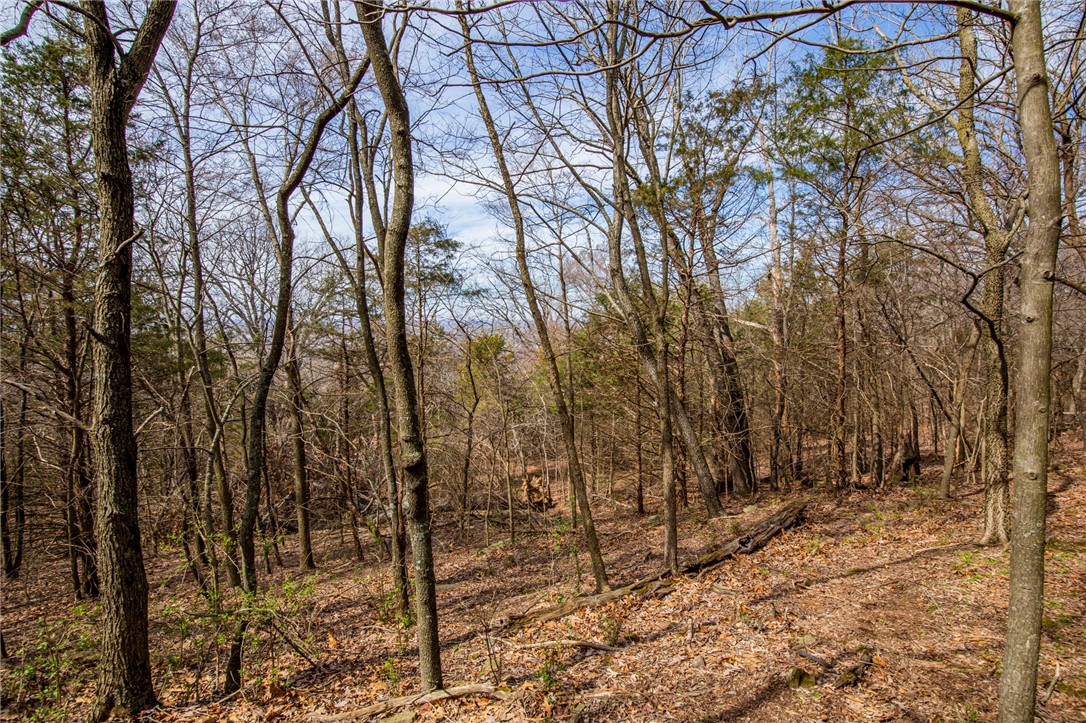Fayetteville Outlots - Land