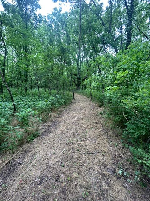 9.7 acres unimproved land NW Bella Vista. Lot 4 block 4 of Strathdon Subdivision is included for BV utility and amenity access. Build on the Strathdon lot or 2.65 acres of property that is not in the 100 year flood plain and enjoy over 150 ft of Browning Creek frontage. Creek Gazebo ,playground ,your own private paradise,ect. Adjacent to the Bike trails and Scotsdale Golf course.