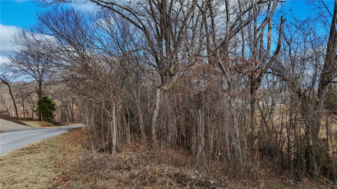 Montgomery Sub Bvv - Land