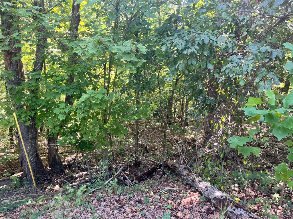 .31 Acres secluded ready for your new home. Close to Metfield Recreation center, pool and Dogwood and Britney golf courses. Come and take a look for yourself. Near bike trails, Bentonville School Distric.