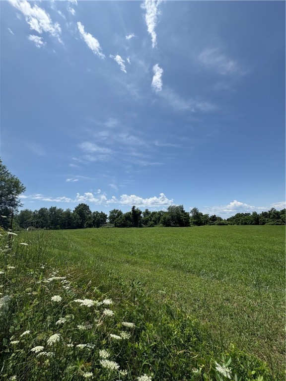 Cave Springs - Residential