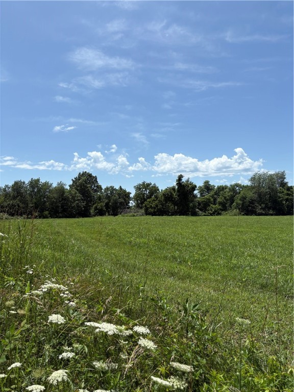 Cave Springs - Residential