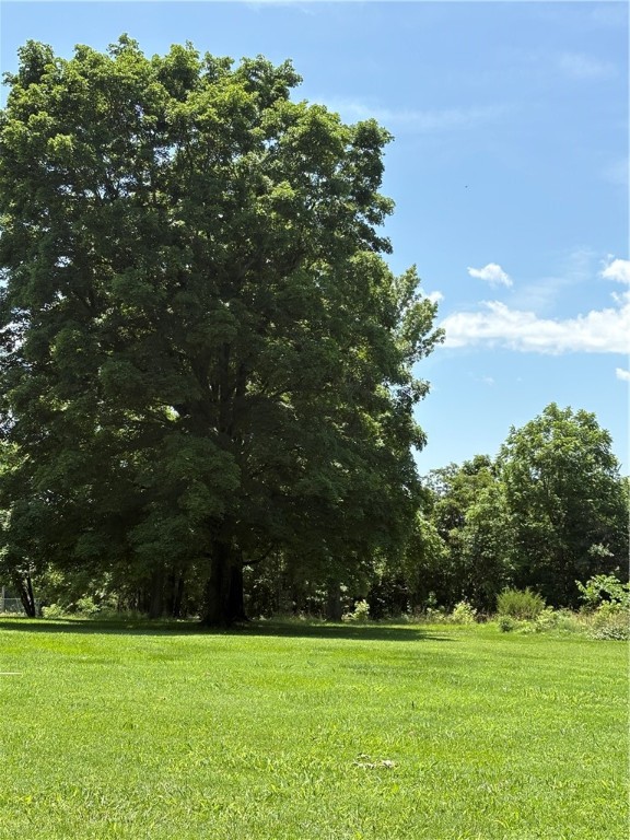 Cave Springs - Residential