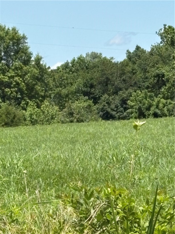 Cave Springs - Residential