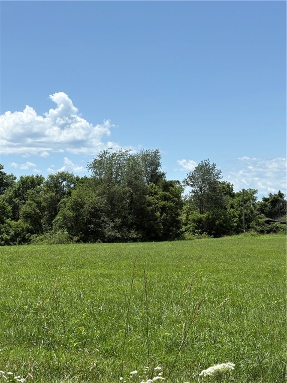 Cave Springs - Residential