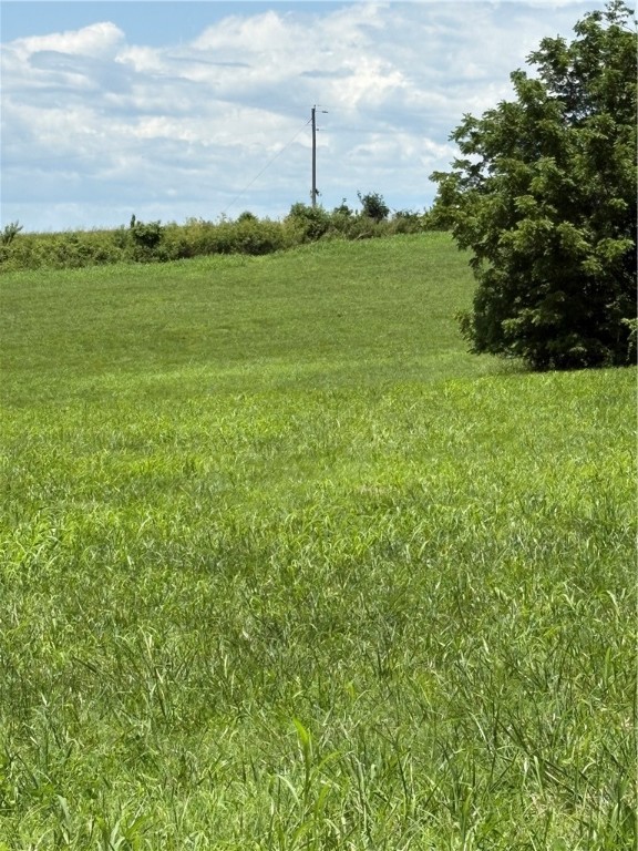 Cave Springs - Residential