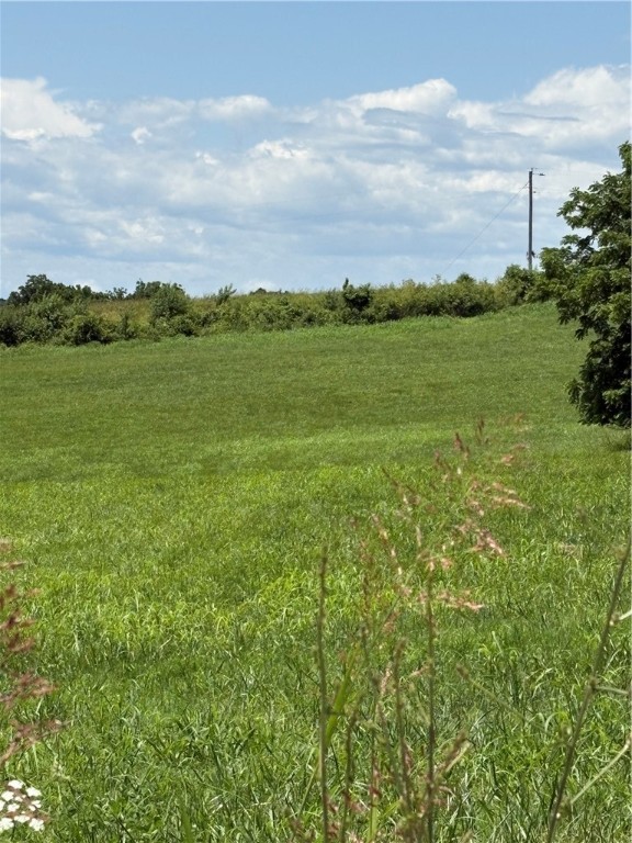 Cave Springs - Residential