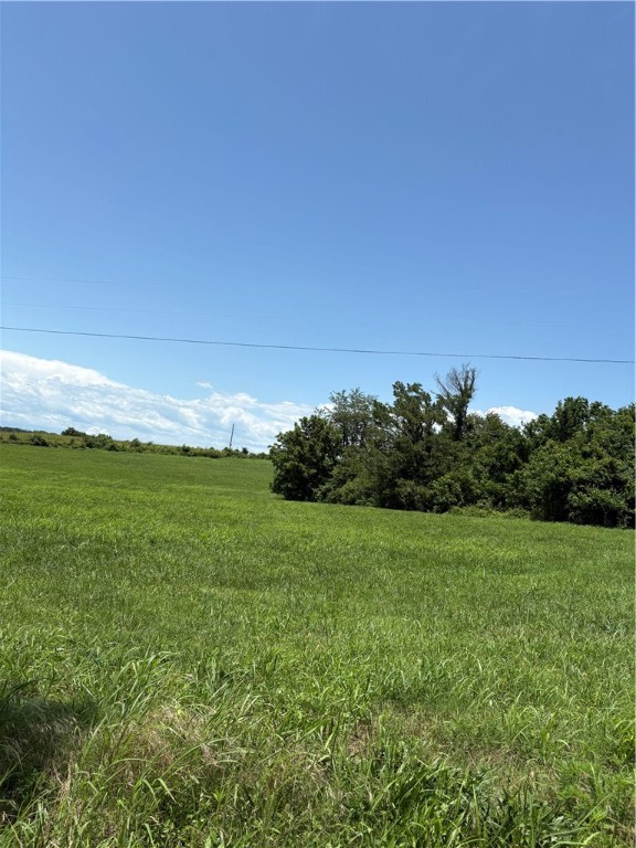 Cave Springs - Residential