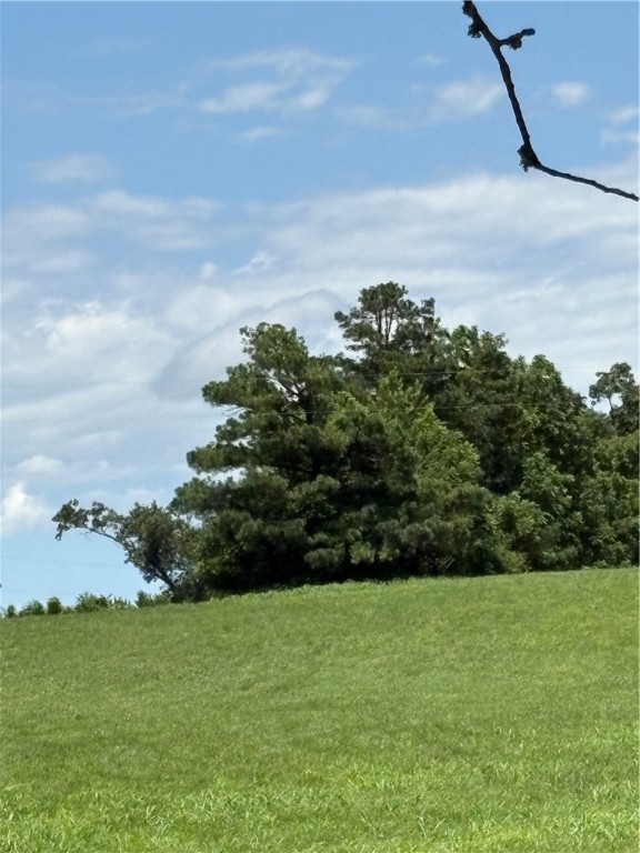 Cave Springs - Residential