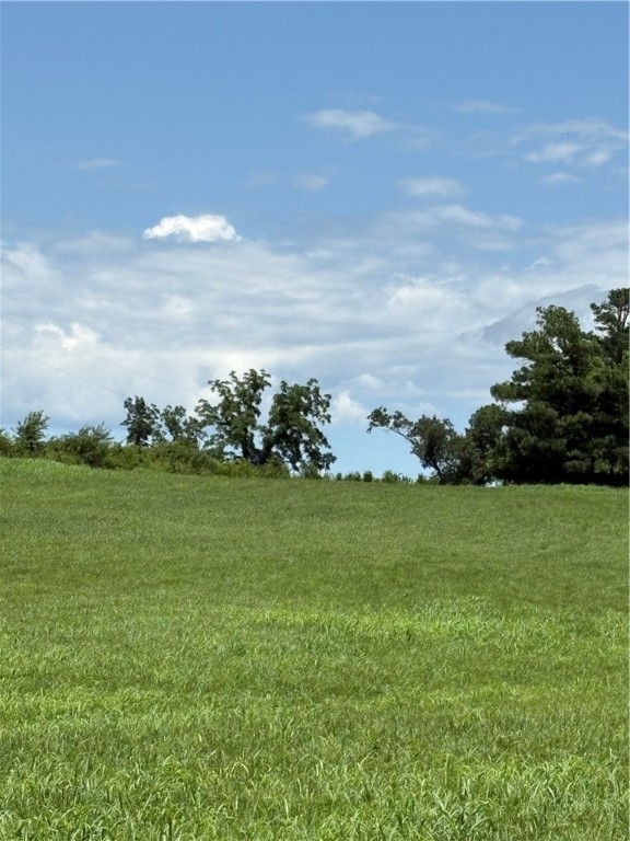 Cave Springs - Residential