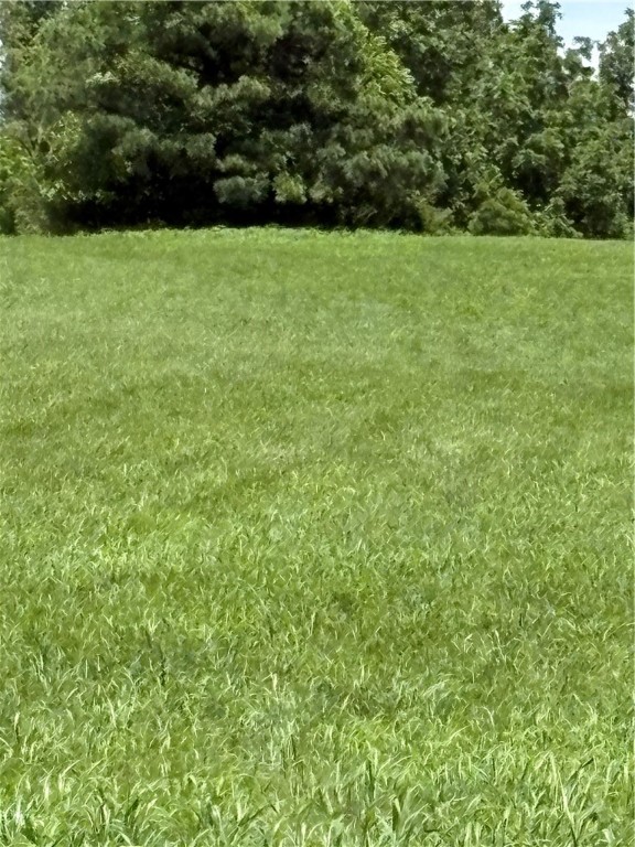 Cave Springs - Residential
