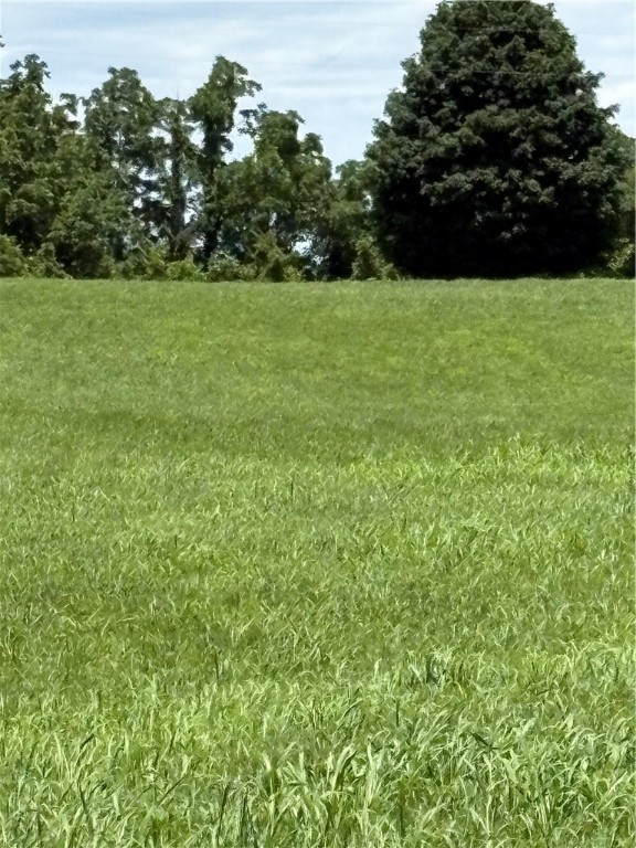 Cave Springs - Residential