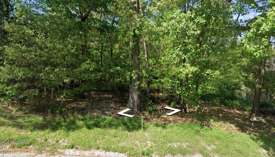 Beautiful .30 acre wooded lot. Minutes from the Bella Vista Country Club, walking and biking trails. Access to 7 recreational lakes, 6 golf courses, rec centers, pools, tennis and pickleball courts and more,