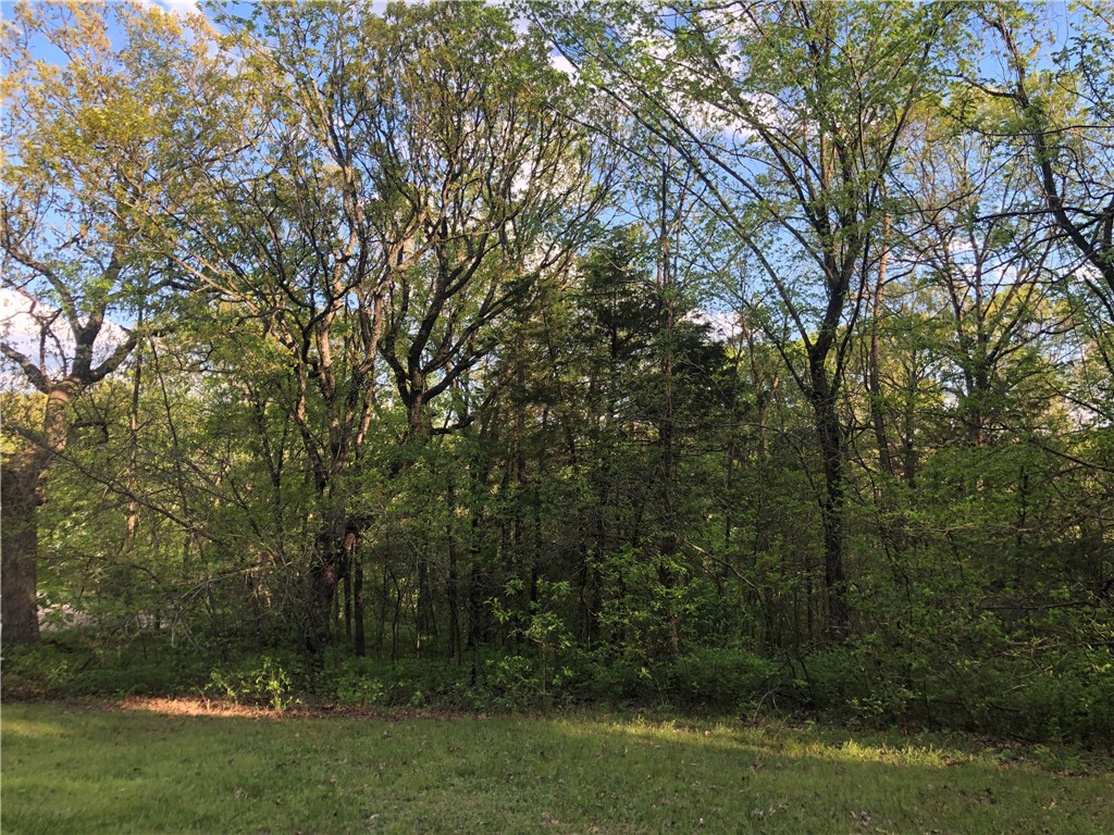 This charming, sunny lot is easily accessible and already partially cleared for you! There are some large old trees that give the property farmhouse vibes. Plenty of level area makes it a convenient spot for building your own home. Reasonable covenants leave you many possibilities, including the option of a tiny home and your own backyard chickens!