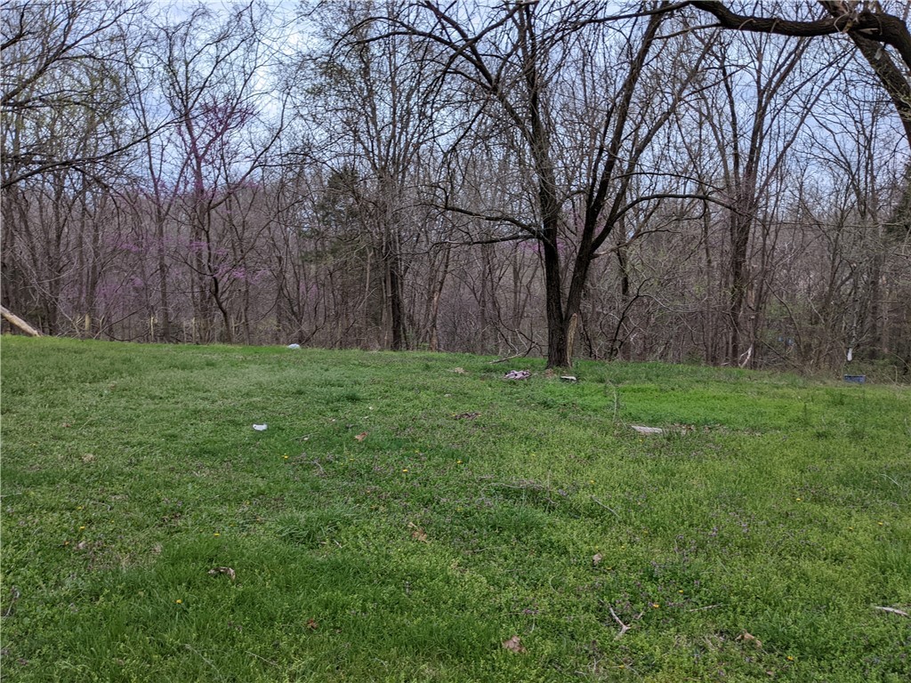 Half acre lot in established neighborhood in Pea Ridge, within walking distance to the Pea Ridge city park. Schools, shopping, and dining nearby. Build your dream home here on this blank canvas with a paved shared driveway already in place. Water, Sewer, Electric available.