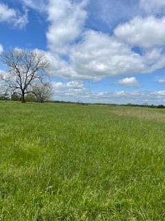 Check's Corner - Land
