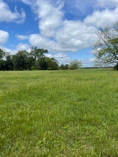 Check's Corner - Land