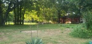 Bumgarner's (Danville) - Land