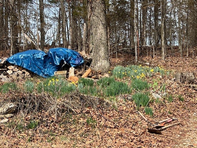 26-20-25 - Residential