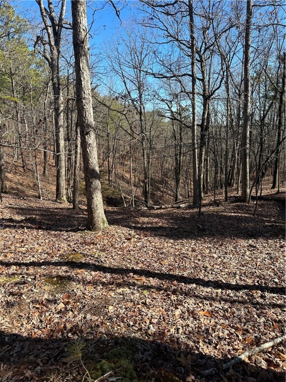 Approx 5 acres of beautiful Ozark property ready for your dream home or rental cabin! New shared well is in process and electric at the street for easy access. This property is unrestricted and just outside of city limits but still close to all that Eureka Springs has to offer! Additional adjacent land is available for purchase (see mls 1246086 and mls 1246052)