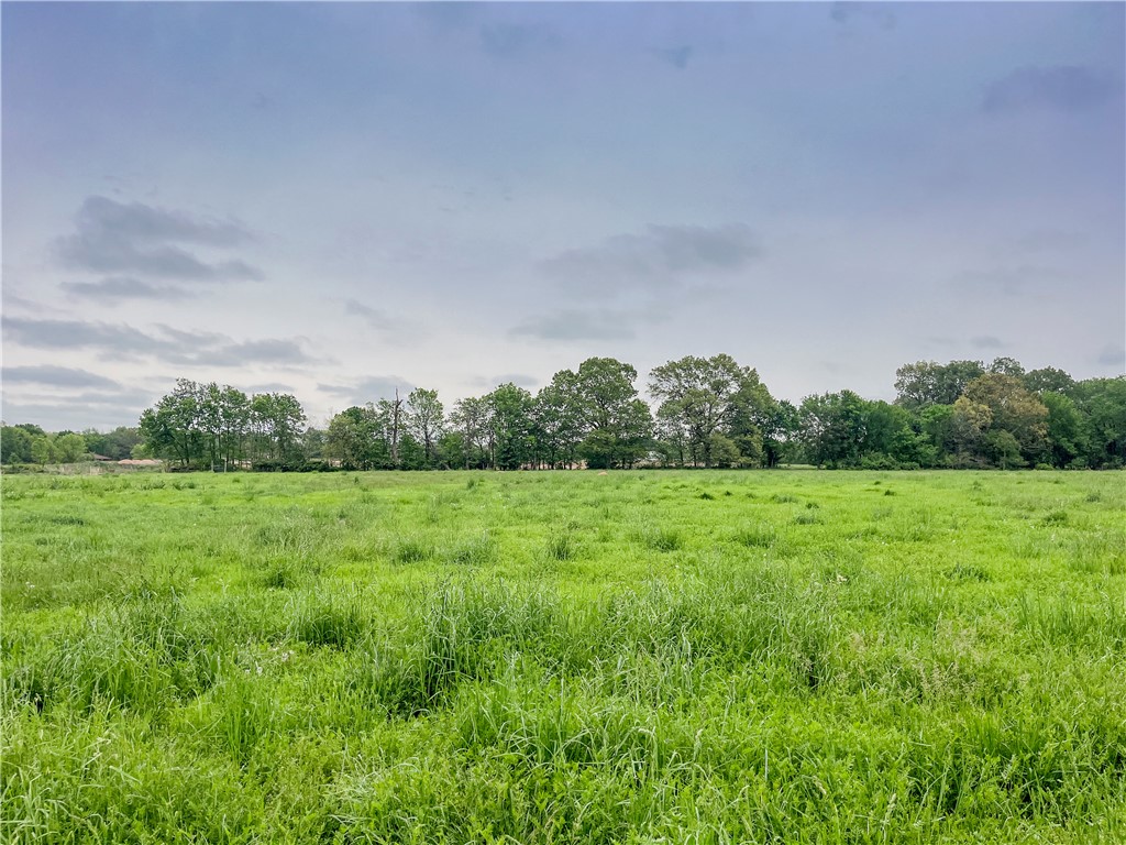 Beautiful, flat, private lot in the Harmon area big enough for all your dreams! Perc test has already been done. No covenants. Area is insulated from further development as it's surrounded by University land. Water is at the street; Electric is on site. Tract 2 of 3. For map directions, you can also try CR 874 instead of White Oak Rd. See also MLS 1294508, MLS 1303975, and MLS 1304078