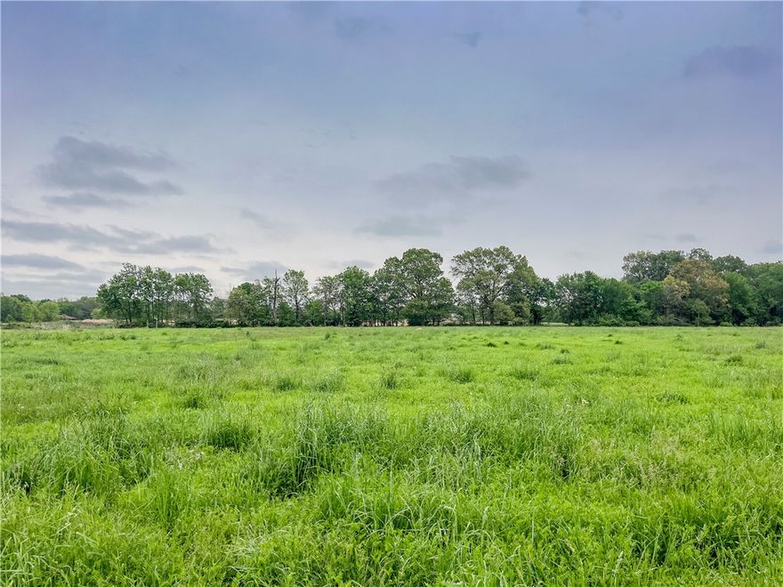 Beautiful, flat, private lot in the Harmon area big enough for all your dreams! Perc test has already been done. No covenants. Area is insulated from further development as it's surrounded by University land. Water is at the street; Electric is on site. Tract 2 of 3. For map directions, you can also try CR 874 instead of White Oak Rd. See also MLS 1294508, MLS 1303975, and MLS 1304078