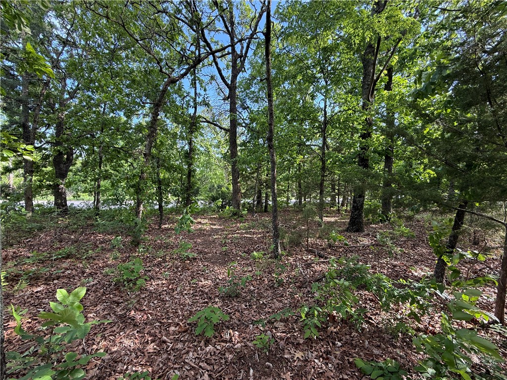 Unit 8 Holiday Island - Land