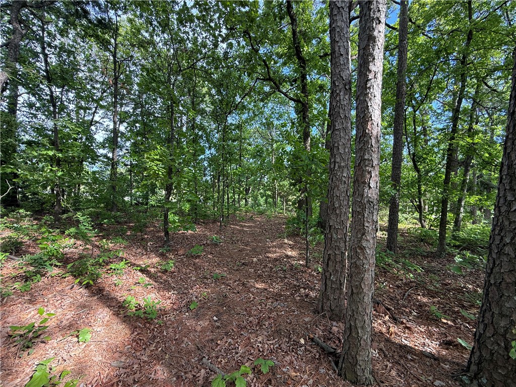 Unit 8 Holiday Island - Land