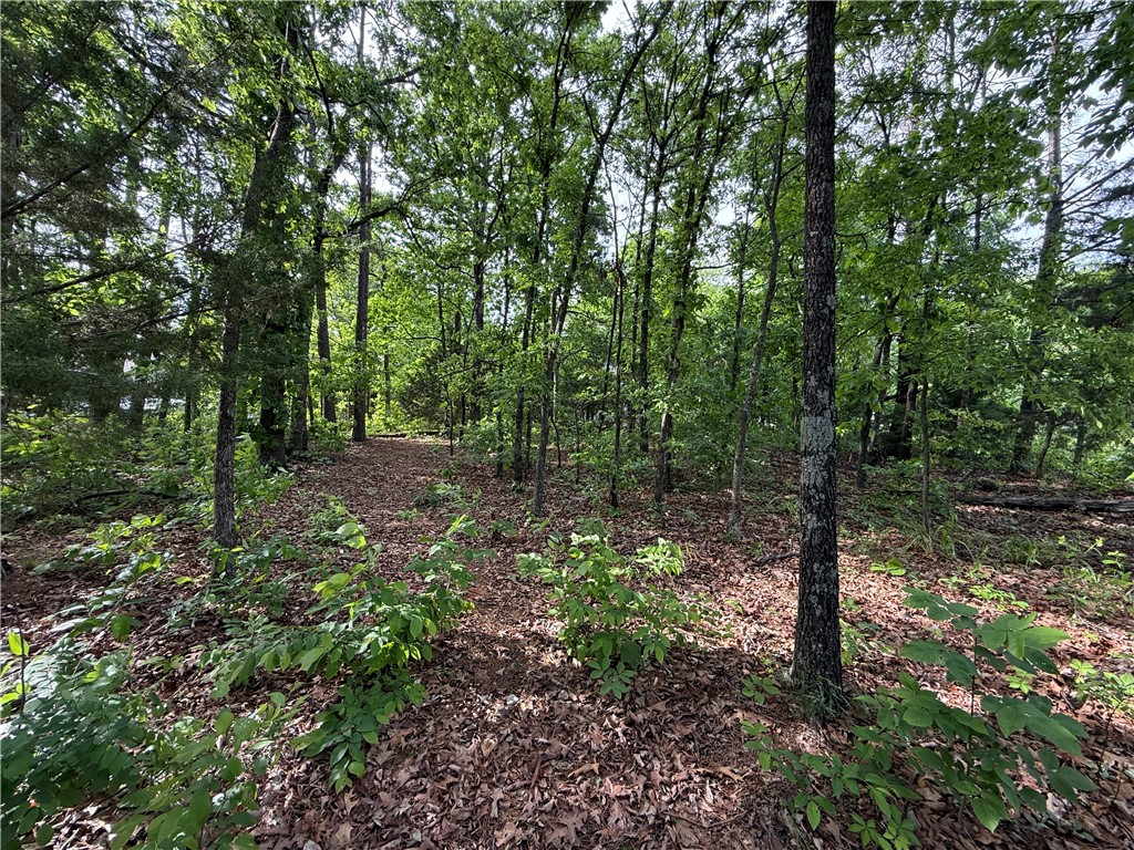 Unit 8 Holiday Island - Land