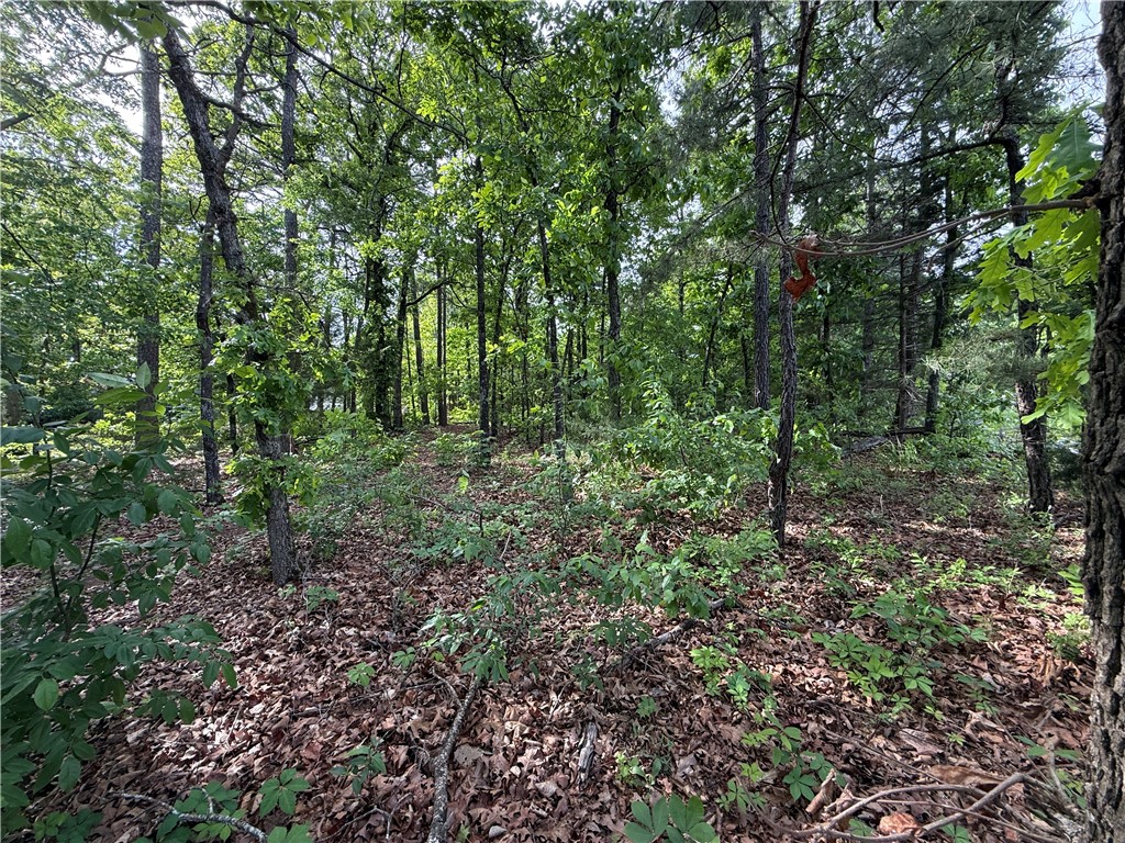 Unit 8 Holiday Island - Land