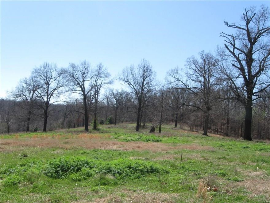 Located just south of Creeks Golf Course, this 73 +/- acre property features a mixture of mature timber and pasture land with several scenic building sites overlooking the valley below.  With water and electric at street, this land is ready for development.