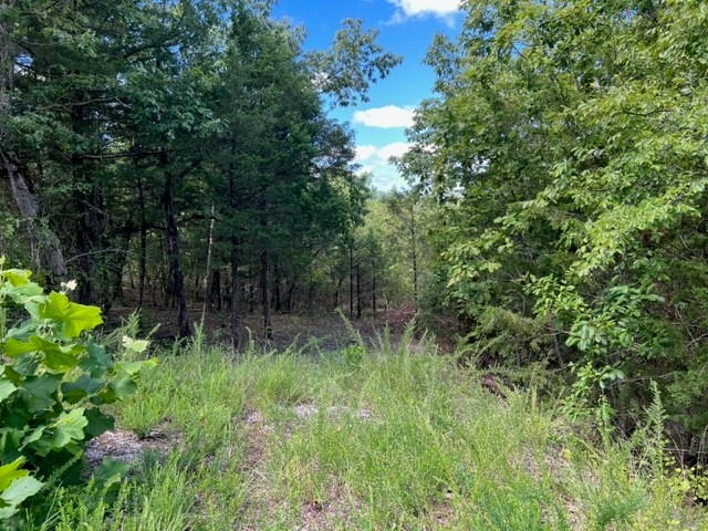 This is an unusually large lot with over 1.58 acres. Entrance from street has already been established onto this lot with some clearing already started in a great building location. Seller's plan changed, making this a buyer's perfect purchase. Lot is in a secluded area of Holiday Island, so you won't have any close neighbors, making privacy a plus. Only 5 minutes to the lake or the grocery store. 10 minutes to Eureka Springs or 45 minutes to Branson. Don't miss all of the amenities that Holiday Island has to offer. Call today for your private tour with your realtor of choice.
