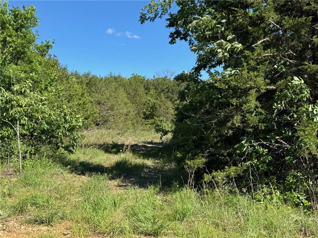 3.97 acres at the corner of Campbell Drive and Sonny Lane in Lead Hill, Arkansas. Mostly wooded with some open space, this property offers privacy and multiple great building sites. Gently sloped and easily cleared, it's ideal for a cabin, homestead, or weekend getaway.
Located just minutes from Bull Shoals Lake, you’ll enjoy nearby public access for fishing, boating, and exploring the scenic Ozarks. The land has road frontage on two sides for easy access and layout flexibility.
Septic and water well will be needed. Electric nearby. With its peaceful setting and proximity to outdoor adventure, this parcel is perfect for anyone seeking space, nature, and a slower pace of life. A great opportunity to own land in one of the most beautiful regions of Arkansas.