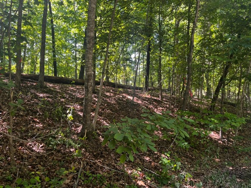 .37-acre buildable Bella Vista lot with major due diligence already completed. Recent survey and septic feasibility work support a proposed 4-bedroom home footprint — a huge advantage in Bella Vista where buildability and septic planning can significantly impact cost, timeline, and confidence.

Located less than half a mile from the Lake Ann boat ramp and close to Bella Vista’s renowned trail system, this wooded lot offers the perfect balance of recreation, privacy, and convenience. Enjoy quick access to lakes, biking and hiking trails, golf, and all Bella Vista POA amenities, with an easy drive to Bentonville and I-49.

A rare opportunity to purchase a lot that already has key feasibility work in place instead of starting from scratch!