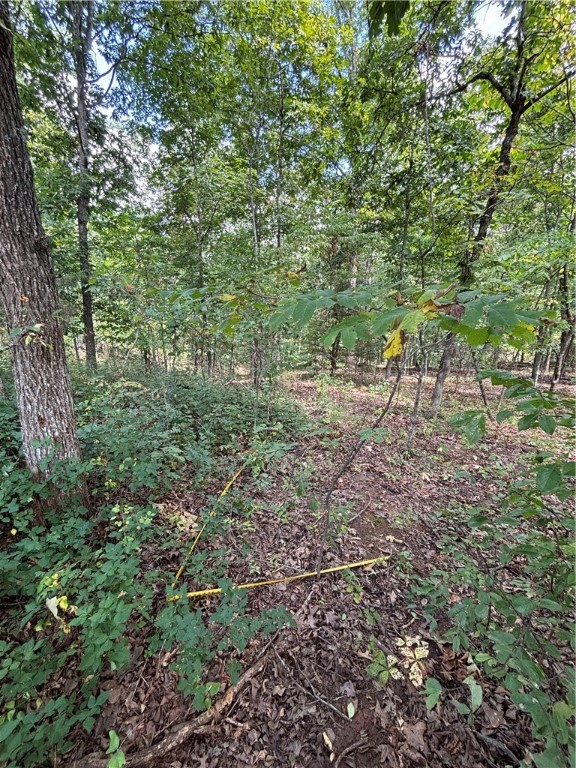 Great .38-acre Bella Vista Lot with Building Potential
This lot is in a beautiful area and a fantastic location—approx. 4 minutes from Lake Brittany, approx. 5 minutes from the Back 40 Bike Trail, approx. 7 minutes from The Ledges Bike Trail, and approx. 4 minutes from the Metfield Golf Complex and Metfield Clubhouse.
If you’re looking for a great building location or a solid property investment, this one is definitely worth checking out!