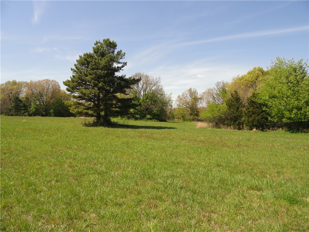 Fayetteville Outlots - Land