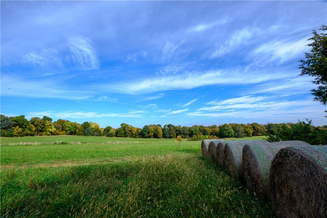 / - Land