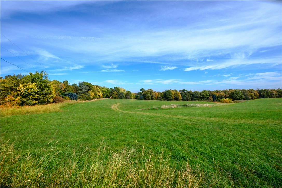 / - Land