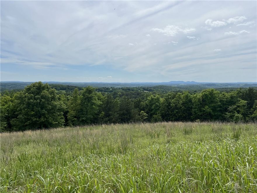 Amazing VIEW for over 17 measured miles!!  "WOW" does not do it justices.  This is a must see property with 6.88 surveyed acres, only 2/10ths of a mile of gravel road, and electric at the neighbors house.  Come check it out today.