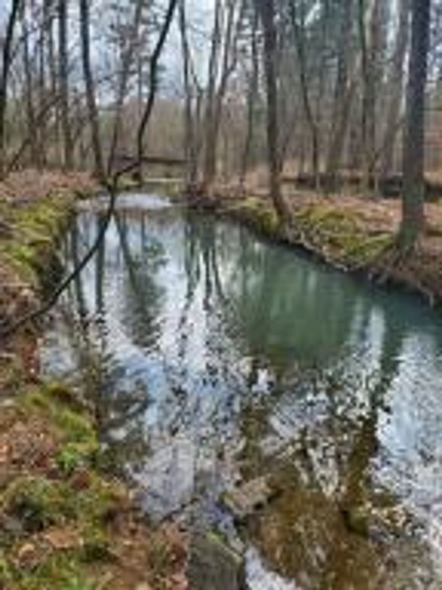 HARD TO FIND 3 AC, NO RESTRICTIONS, HAS A BEAUTIFUL WET WEATHER CREEK ON IT, PART IS IN A FLOOD ZONE, IT HAS BEEN PERKED AND SURVEYED.wooded and cleared.
