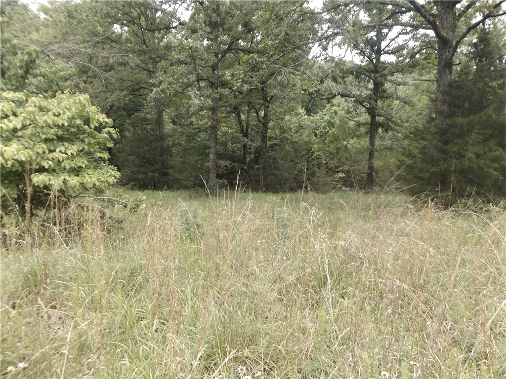 Nice, buildable tracts with minimal restrictions. Convenient to shopping, but country feel.