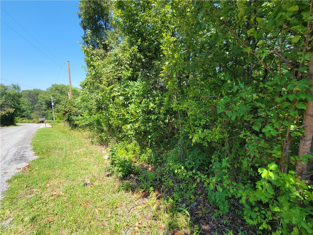 This lot has access to SEWER and is in a very desirable location. Located just down the road from Loch Lomond Marina and Lakepoint restaurant, this lot would make for an ideal site to build your home on. The lot is nicely shaped and has 102 ft of road frontage. The street is lined with beautiful homes. There is also quick access to the interstate from this location.