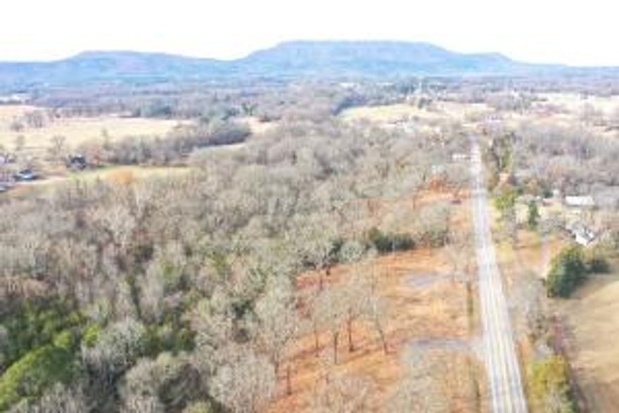 4+ acre lot with views of Mount Nebo nearby makes this is the perfect location to build. Partially cleared and ready to go for new owners! No mobile homes.