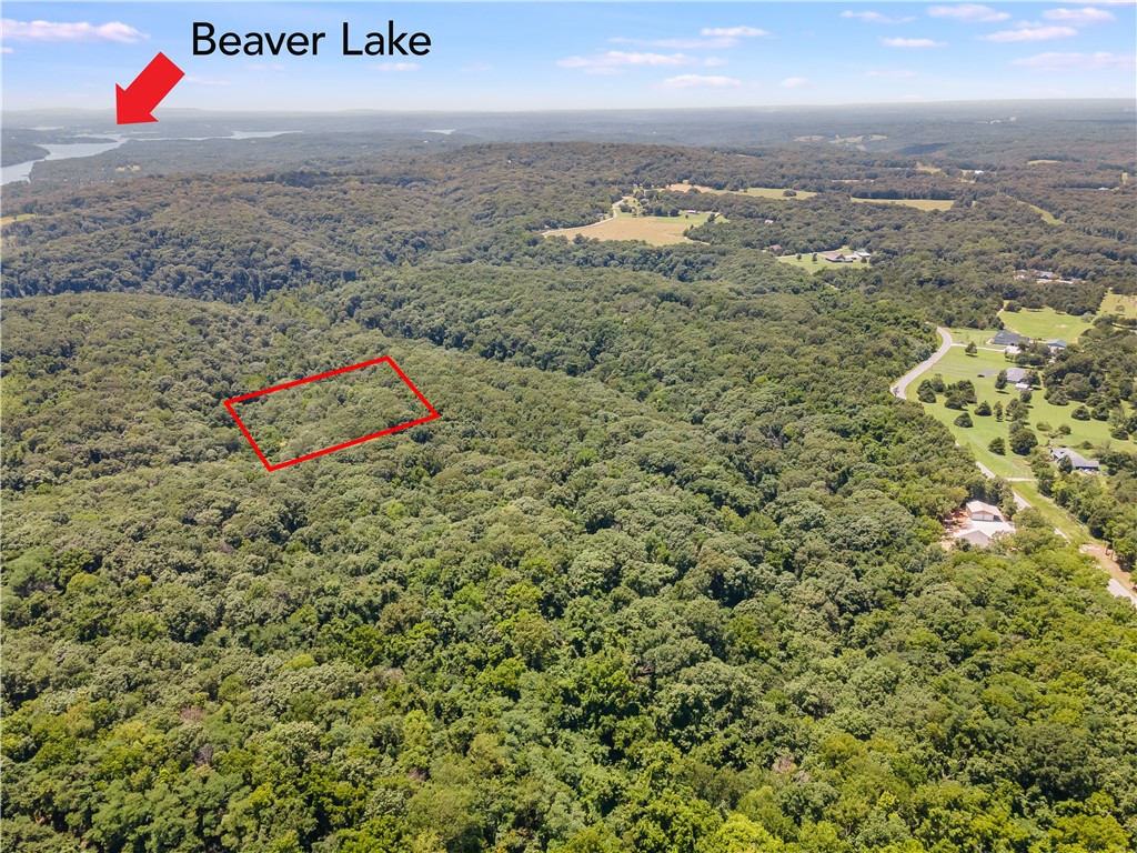 Discover the Possibilities! Tucked away in the natural beauty of Beaver Lake’s surroundings, this peaceful lot offers the perfect blend of freedom and convenience. With no POA restrictions, you’ll have the flexibility to bring your vision to life—whether it’s a weekend getaway, a cozy cabin, or a future dream home.
Located less than 15 minutes to the Lost Bridge Marina and scenic camping areas, this property is ideal for nature lovers, water enthusiasts, and those craving a little peace and quiet. And when you're ready for shops, dining, or a stroll through town, downtown Rogers is just under 30 minutes away.
A rare opportunity to own a slice of Northwest Arkansas near the lake—without the HOA rules. Come explore the potential of Blackberry Drive!