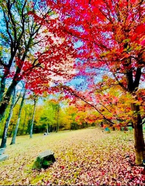 31-17-27 - Residential