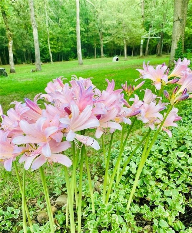 31-17-27 - Residential